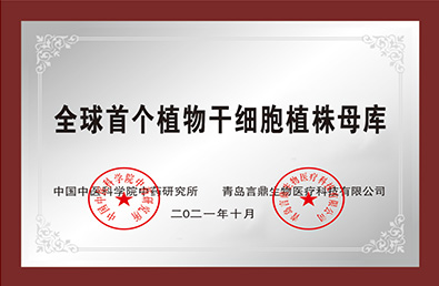 ᡤ(й½)֤ƻ