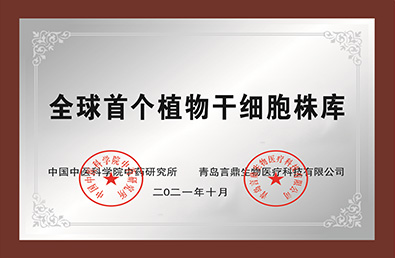 ᡤ(й½)֤ƻ