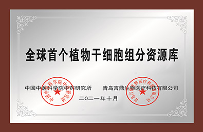 ᡤ(й½)֤ƻ
