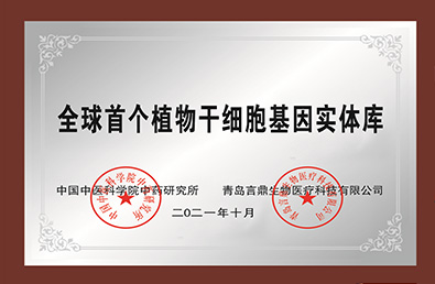 ᡤ(й½)֤ƻ